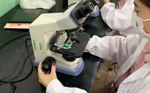 显微镜的使用步骤（实验课交作业版）