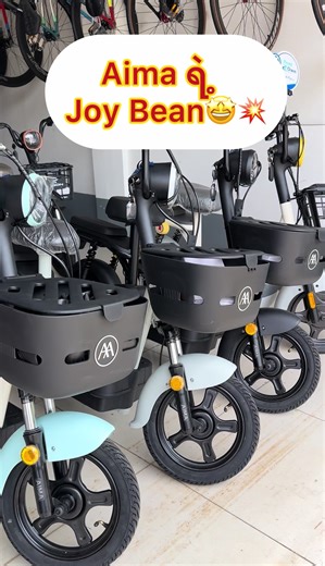 Choosing the Right Ebike Batteries: A Guide