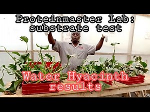 Water Hyacinth Results :ProteinMaster