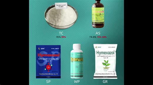 Hymexazol is an active ingredient in fungicides With an effect on Pythium, Fusarium, and other soilborne pathogens, it protects seedling from damping-off (occurrence of Murenae) and also works for good seedling by promoting root growth; it has been used for more than half a century as an absolutely essential chemical with the spread of raising seedlings in nursery box and mechanical transplanting. In the United States and European countries, Hymexazol is playing an active part as an important ch