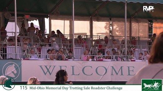 LJL25 - Class 115 - Mid-Ohio Memorial Day Trotting Sale Roadster Challenge