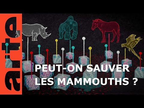 Et si on ressuscitait les mammouths ? | 42, la réponse à presque tout | ARTE