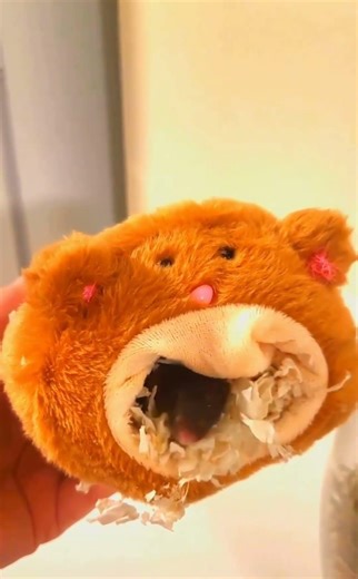 Foraging Terrarium for Reaper