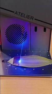 Engraving classics on fallen leaves —turning a fleeting moment into eternity. #atomstack #diy