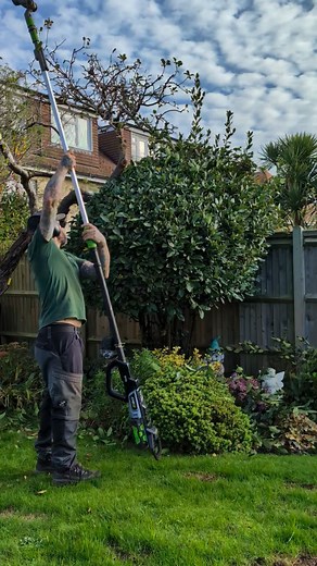I love the smell of freshly chopped bay leaf #topiary #shapes | Gary Hall Garden Services