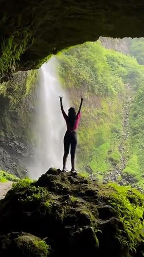 feel this song 🎶nature instagram status || nature video || instagram reels || Nature Instagram reals