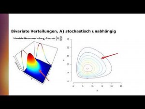 Bivariate Verteilungen: 3D-Plot und Contour-Plot