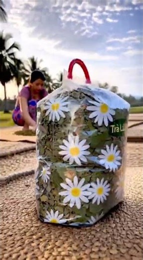 10-Ingredient Herbal Tea – Natural Herbs, Refreshing Every Day 🌿🔥