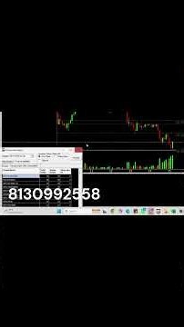 Stock of the Day? Reality Check Before You Trade!