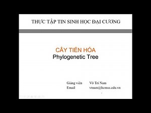 Cây tiến hóa - ClustalX + TreeView (P.2)
