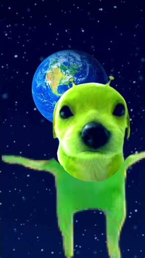 alien dog breed yellow baby