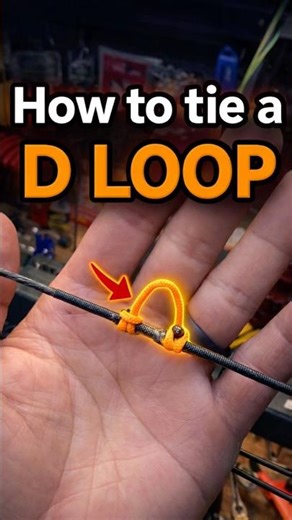 How to tie a D Loop.