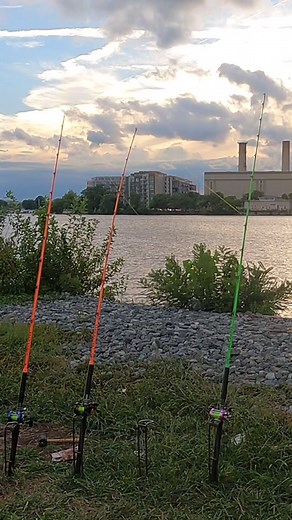 Big takedown compilation #foryoupage #tiktok #fishing #fishtok