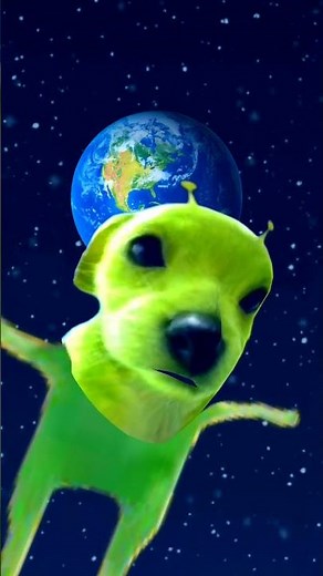 Video random #spongebob #memes