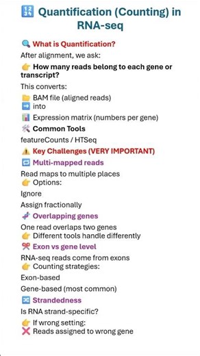 RNA-seq Quantification Explained | From Reads to Expression Matrix