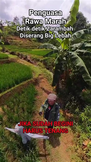 Zarambah Channel | Tak disangka sedang asik ngevlog tiba tiba di serang Big Bee (Engang) Zarambah Channel | Instagram