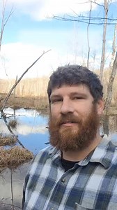 Beaver causing me problems #beavers #offgridlife #offgridliving #thesimplelife #beaverdam #livingmybestlife #change | Off Grid & Growing