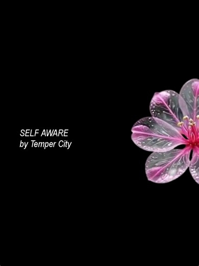 Beautiful Song Lyrics & Meaning