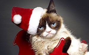 Grumpy Cat's Worst Christmas Ever : Premier Trailer