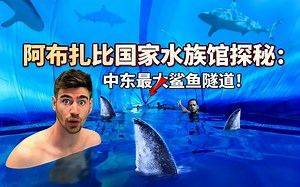 [中配]阿布扎比国家水族馆探秘：中东最大鲨鱼隧道！ - George Mavrakis