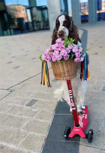 The Cutest Flower Delivery with Joyful Roses