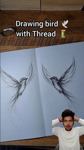 🐦 Beautiful Bird Drawing ✨ Easy Art Tutorial #viral #birds #shorts