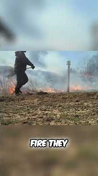 How Controlled Burns Transform Prairie Ecosystems