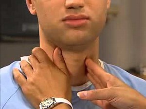 Plapating the Thyroid Galnd