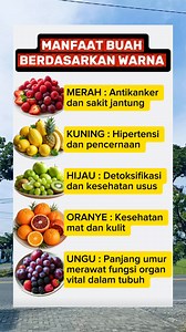 Manfaat buah-buahan Berdasarkan warna nya | Titik Umi