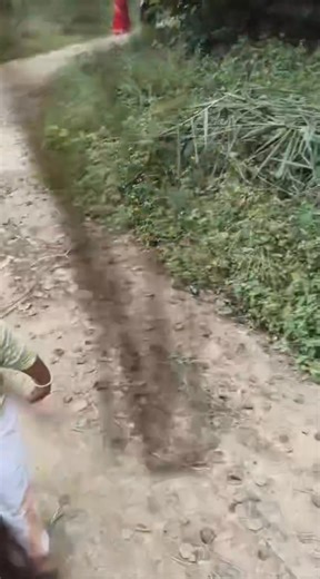 Sanjeev Gupta on Reels