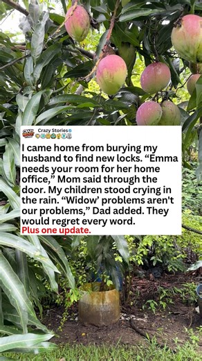 I came home from burying my husband to find new locks. Emma needs your room for her home office," Mom said through the door. My children stood crying in the rain. -#reels #askreddit #redditstories #reddit #redditposts #redditstorie #aita #aitah | Viral Way 3.5