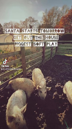Big Weekend | Cefn Mably Farm Park