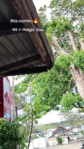 Amazing Magic Tricks with Cards: Unleash Your Skills