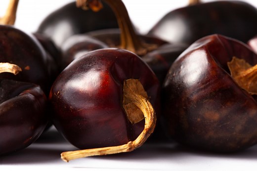 Chile cascabel: características, origen y propiedades » Huero en casa