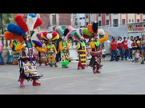 Danza de Matlachines "Raza de Bronce Los Olmecas de Aguascalientes"