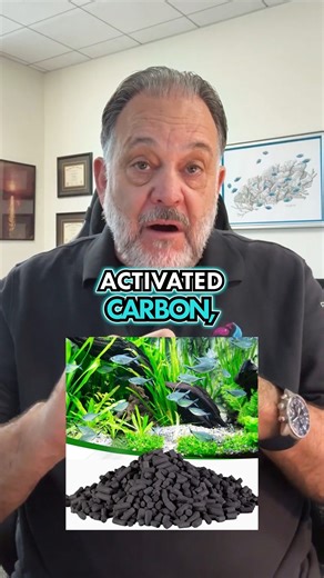 23K views · 211 reactions | Brown or Green Water? Here’s Why Cloudy water in your tank can happen, but it's usually fixable. It might come from dyed gravel or live sand carrying algae. Use activated carbon and do regular water changes to clear it up. Your tank will be looking clean again before long. Follow for more tips on how to maintain clear and healthy water in your aquarium. #AquariumMaintenance #WaterQuality #AquaticLife | DrTims Aquatics | Facebook