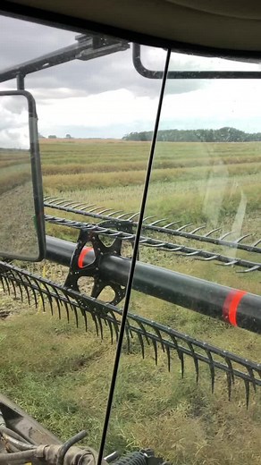 Harvest 2021: Swathing Canola with John Deere - Sask Farmer