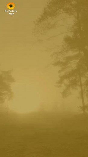 #bepositivepage #reels #motivation #inspiration #quotes #sayings #positivity | Be Positive Page