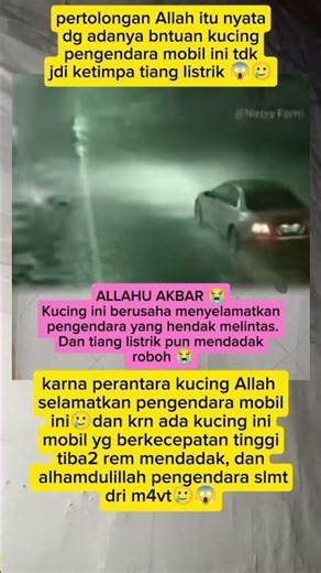 Allahuakbar pertolongan Allah itu nyata🥲 #fypviral #trendingshorts