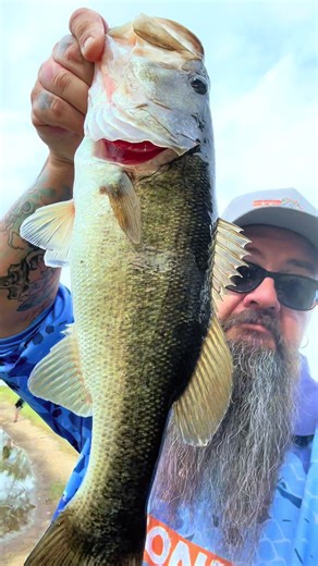 Terrific Tuesday at Reel Adventures With MattyB #viral #viralvideo #trending #tiktokviral #youtube @The_Antsy_Angler @Babsfishing🎗🎀 @Get_ugly_fishing_ @Butch @FishingMaddness❌️ @Fishin'_with_Gramps @Kristine @Pamsbytheriver54743 @LeslieSnipes @🎣ellajane_fishingAus🩷🦈 @4HER Outdoor Apparel, LLC @Four Seas Commercial Fishing @Evangelia 🇦🇺🇬🇷 @Ana Paula 🐠 @Edie Wilkinson @Real American Outdoors Co @BigDogTackle