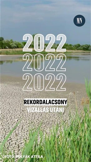 Kiszáradhat a Velencei-tó? Megszólalt a szakértő #Velenceitó #Klímaváltozás #magyarnemzet #MN #MNO