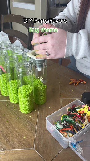 DIY Bug Themed Party Favors for Toddler Birthday Celebration