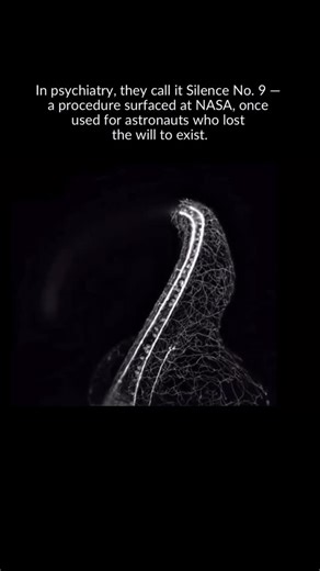 Brian M. Sabourin on Instagram: "Silence. 1. In space, there’s no real pause. You either function — or you don’t survive. When astronauts began showing signs of emotional burnout, they were assigned Silence No. 9: 37 minutes with no stimuli. No tasks. No contact. No movement. Just breathing. Just the echo of their own thoughts. 2. Burnout, they believed, didn’t come from stress — it came from losing your inner center. When your mind constantly reacts, it stops being the subject of your own life.