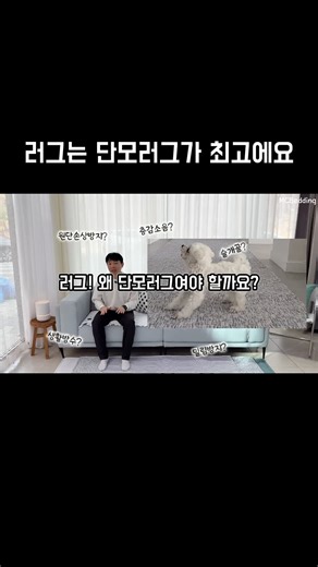 호텔침구 엠시베딩 on Instagram: "러그를 고를 때 디자인만 보고 선택하면 오래 쓰기 어렵다는 걸 알게 됐어요. 그래서 엠시베딩은 관리부터 쉬운, 먼지 없는 워셔블 러그를 만들었습니다. ✔ 먼지·머리카락 관리 편하고 ✔ 물을 조금 흘려도 닦아내기 쉽고 ✔ 공간이 훨씬 정리돼 보이고 ✔ 수건처럼 세탁하면 관리 끝 예쁜데, 오래 쓰기까지 좋은 러그. 그 기준을 영상에 담아봤어요 🌿 🏷️프로필 SLEEP LAP에서 풀영상 만나보실 수 있습니다."
