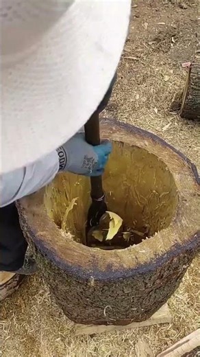 Making process of wooden beehive