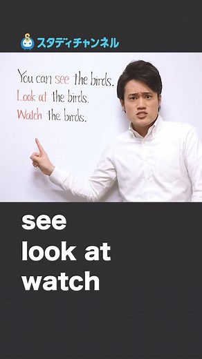 TikTokでスタディチャンネルさんをチェック！