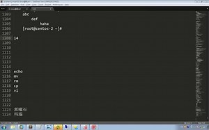 Linux基础24-慎用的删除(rm)
