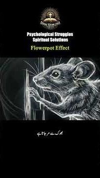 This Comfort Is Killing You | The Flowerpot Effect #foryou #foryoupage #psychologyfacts #facts