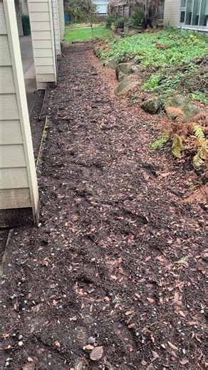 Roto-tilling makes bulb planting a breeze! #bulbs #rototiller #redsealvas #landscaper #garden