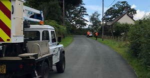 Devon road closed after tree crashes onto power lines